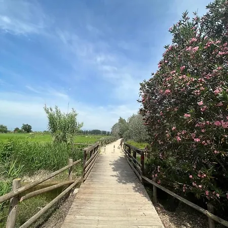 Holiday home El Secreto Del Descanso Del Ebro Sant Jaume d'Enveja
